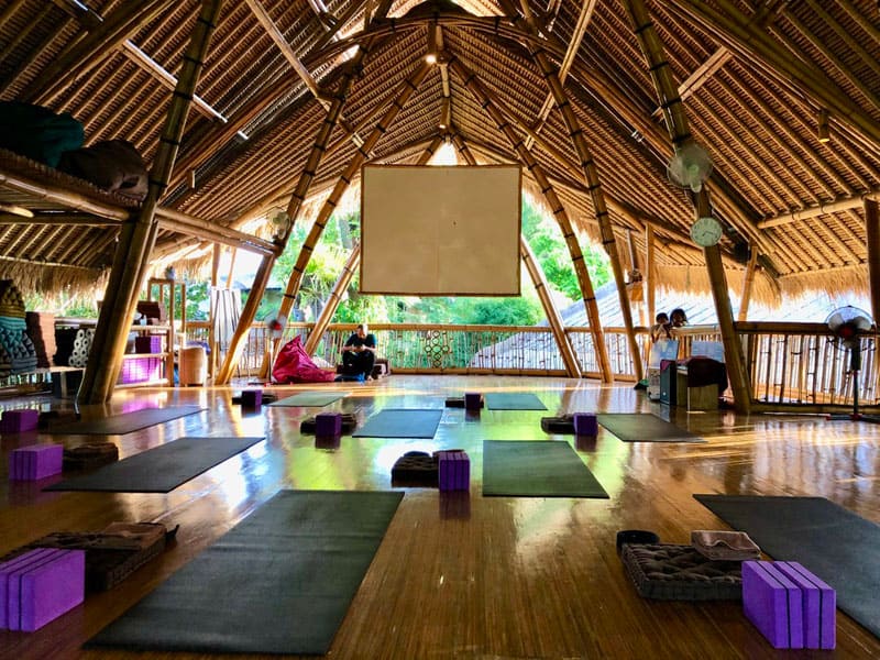 yoga teacher training bali 2020 43 My Power of Now Oasis Yoga Teacher Training in Bali