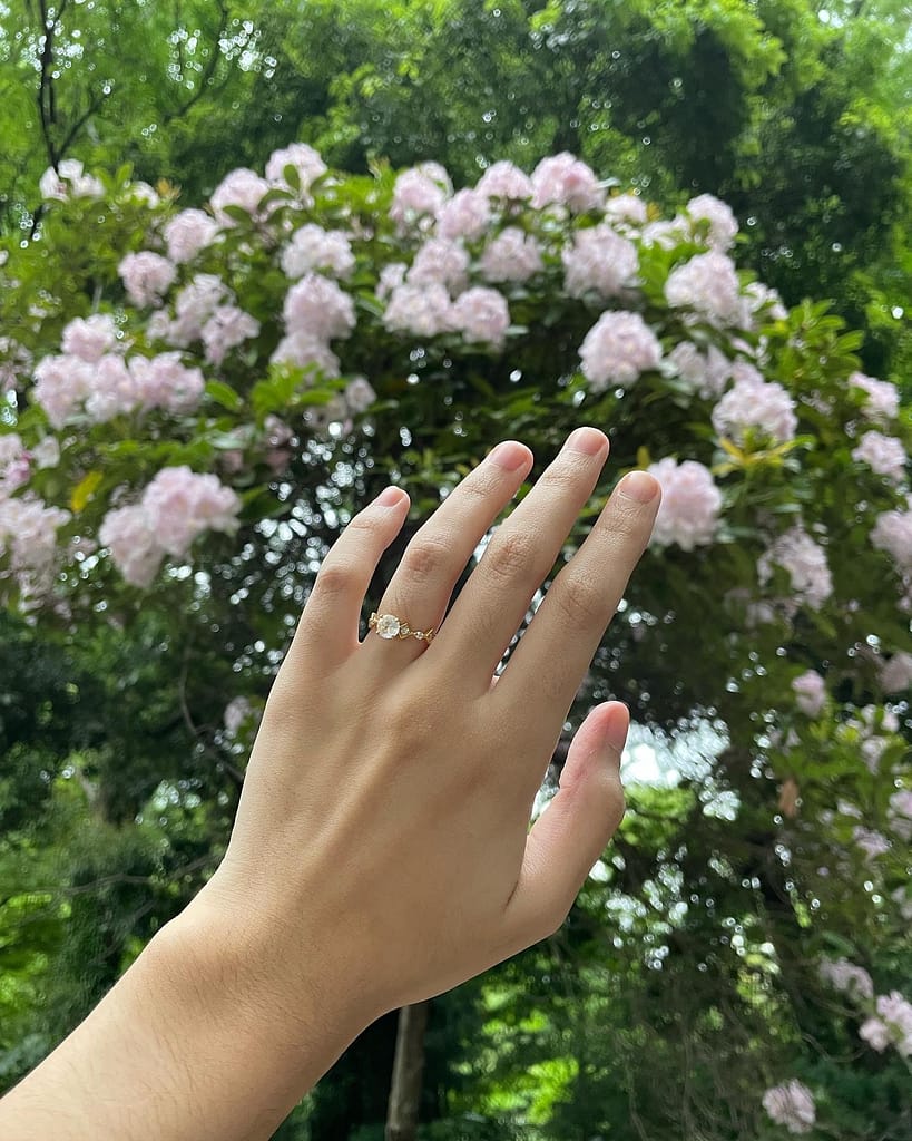 fs ring I'm engaged 💍 (Hello again, after two years!)